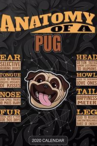 Anatomy Of A Pug