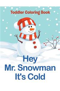Hey Mr. Snowman It's Cold