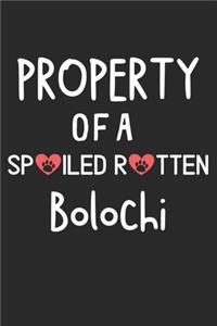 Property Of A Spoiled Rotten Bolochi
