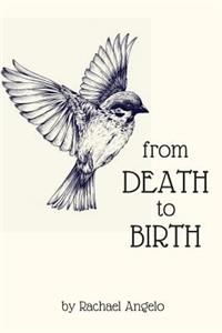 Death to Birth
