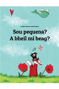 Sou pequena? A bheil mi beag?