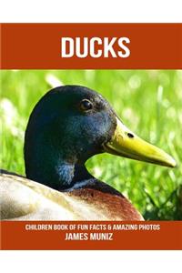 Ducks