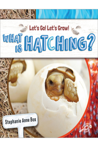 What Is Hatching?