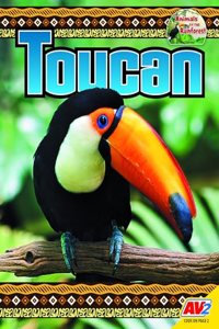Toucan
