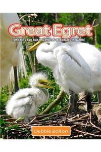 Great Egret: Fun Facts and Amazing Photos of Animals in Nature