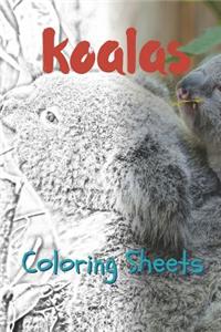 Koala Coloring Sheets