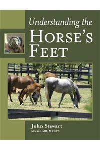 Understanding the Horse's Feet