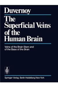 The Superficial Veins of the Human Brain