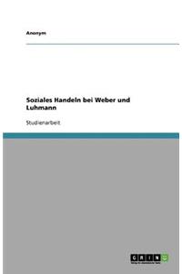 Soziales Handeln Bei Weber Und Luhmann