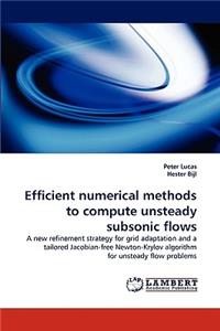 Efficient Numerical Methods to Compute Unsteady Subsonic Flows