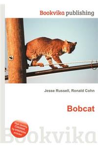 Bobcat