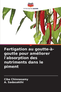 Fertigation au goutte-à-goutte pour améliorer l'absorption des nutriments dans le piment