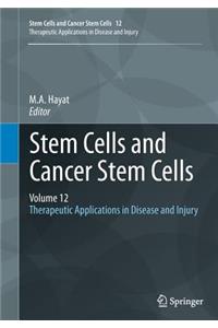 Stem Cells and Cancer Stem Cells, Volume 12