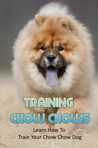 Training Chow Chows