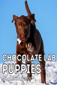 Chocolate Lab Puppies Calendar 2021