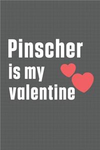 Pinscher is my valentine
