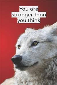You Are Stronger Than You Think