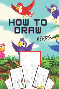 How to Draw Birds