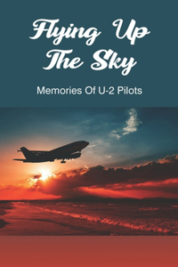 Flying Up The Sky