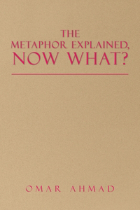 Metaphor Explained, Now What?