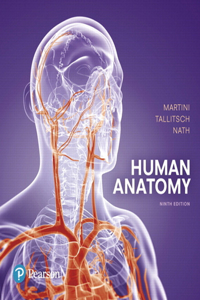 Human Anatomy