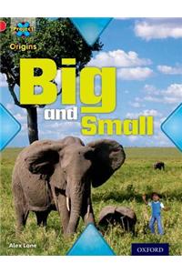 Project X Origins: Red Book Band, Oxford Level 2: Big and Small: Big and Small