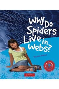Why Do Spiders Live in Webs?