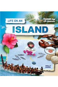 Life on an Island