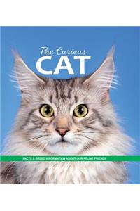 The Curious Cat