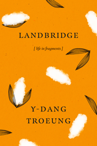 Landbridge: life in fragments