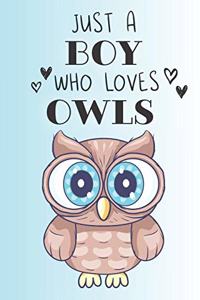 Just A Boy Who Loves Owls