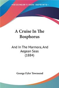 Cruise In The Bosphorus