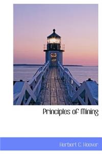 Principles of Mining