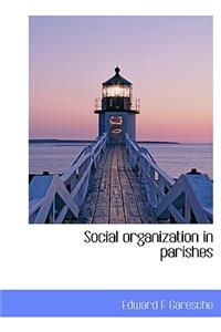 Social Organization in Parishes