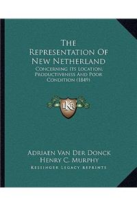 Representation Of New Netherland
