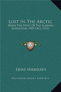 Lost In The Arctic