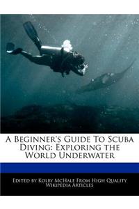 A Beginner's Guide to Scuba Diving