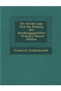 Die Sociale Lage Und Die Bildung Der Handlungsgehilfen