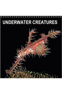 Underwater Creatures 2018