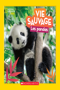 National Geographic Kids: Vie Sauvage: Les Pandas