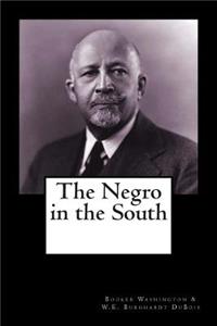 Negro in the South