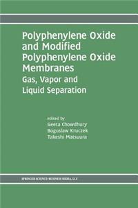 Polyphenylene Oxide and Modified Polyphenylene Oxide Membranes