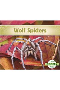 Wolf Spiders