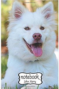 Notebook Journal Dot-grid, Graph, Lined, Blank, No Lined - Cute Dog: Small Pocket Notebook / Journal / Diary