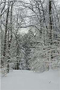 Journal Winter Weather Scenic Beauty
