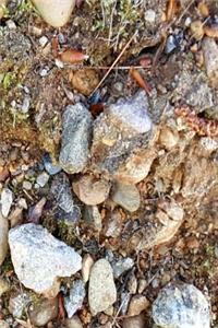 Rocky Soil Journal