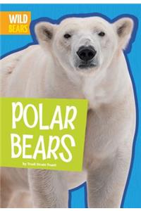 Polar Bears