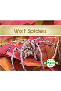 Wolf Spiders