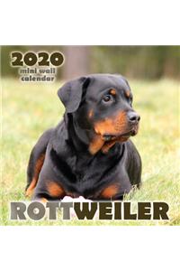 Rottweiler 2020 Mini Wall Calendar