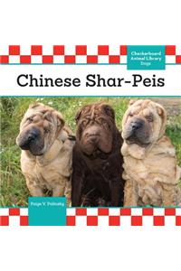 Chinese Shar-Peis